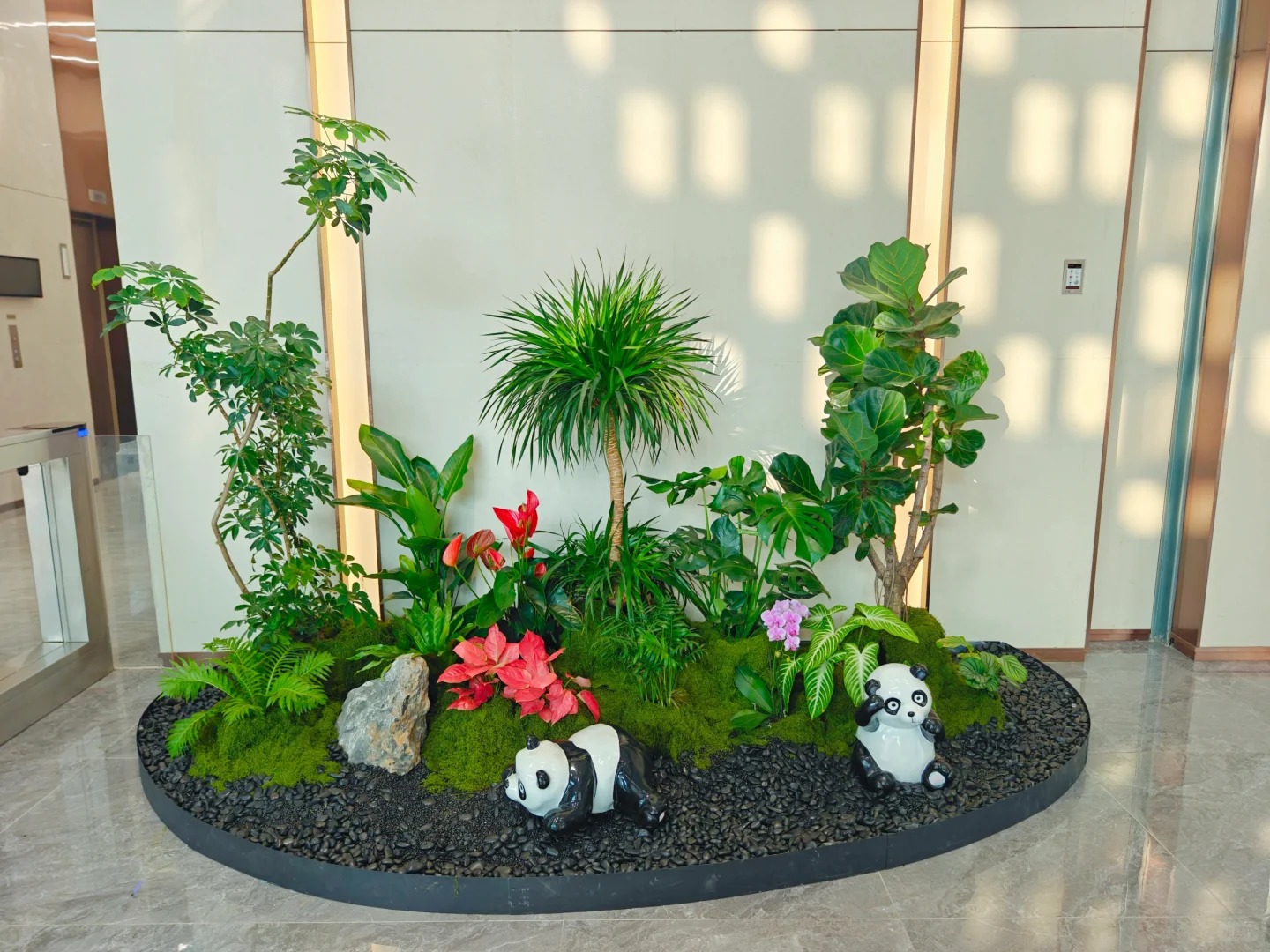 专业盆景租摆,宁波奉化带来别样视觉盛宴